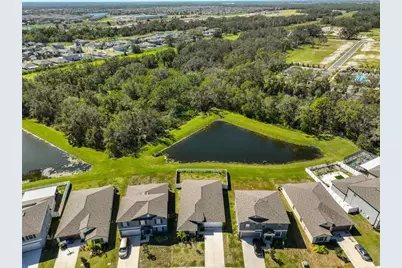 10351 Alder Green Drive, Riverview, FL 33578 - Photo 35