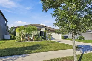10351 Alder Green Dr, Riverview, FL 33578 - Photo 3