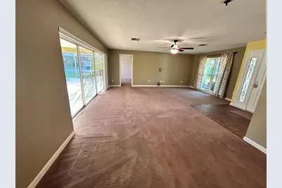 2019 Forest View Drive, Palm Harbor, FL 34683 - Photo 11