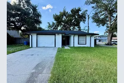 1602 Palm Leaf Drive, Brandon, FL 33510 - Photo 1