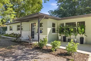 4506 S Cameron Ave, Tampa, FL 33611 - Photo 3