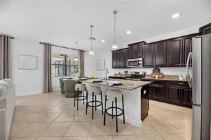 11010 Purple Martin Blvd, Riverview, FL 33579 - Photo 17