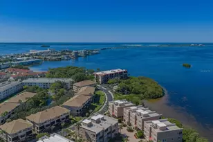 2700 Bayshore Blvd, Dunedin, FL 34698 - Photo 35