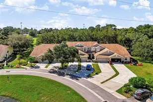 666 Spring Lake Cir, Tarpon Springs, FL 34688 - Photo 49