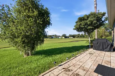 29336 Coharie Loop, San Antonio, FL 33576 - Photo 27