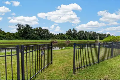 302 Star Shell Drive, Apollo Beach, FL 33572 - Photo 41
