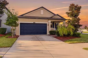 9049 Shadyside Ln, Land O Lakes, FL 34637 - Photo 1