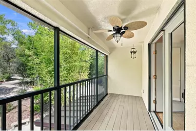 3110 Turkey Walk Lane, Wimauma, FL 33598 - Photo 11