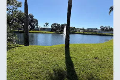 20 Mountain Laurel Drive, Palm Harbor, FL 34684 - Photo 3