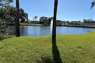 20 Mountain Laurel Dr, Palm Harbor, FL 34684 - Photo 3