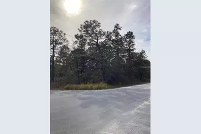 12449 Indigo Bunting Road, Weeki Wachee, FL 34614 - Photo 3