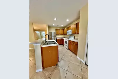 4310 Silver Falls Drive, Land O Lakes, FL 34639 - Photo 3