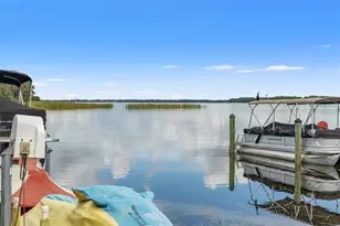13 Freshwater, Palm Harbor, FL 34684 - Photo 73