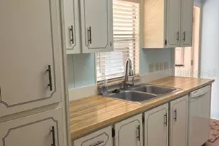 102 Natures Trail, Safety Harbor, FL 34695 - Photo 11