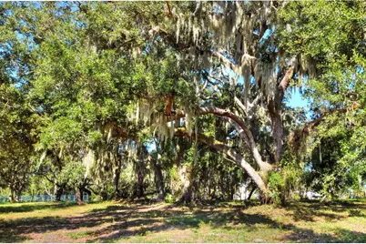 Mangham Road, Babson Park, FL 33827 - Photo 13