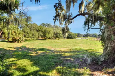 Mangham Road, Babson Park, FL 33827 - Photo 9