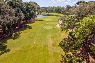 36750 US Hwy 19 N, Palm Harbor, FL 34683 - Photo 53