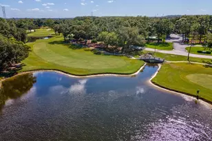 36750 US Hwy 19 N, Palm Harbor, FL 34683 - Photo 49