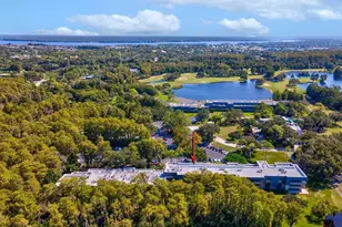 36750 US Hwy 19 N, Palm Harbor, FL 34683 - Photo 27