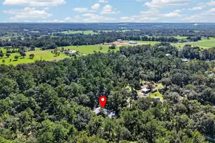 2321 Spring Lake Hwy, Brooksville, FL 34602 - Photo 65