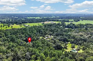 2321 Spring Lake Hwy, Brooksville, FL 34602 - Photo 63