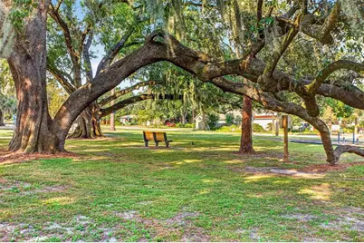 302 Park Ridge Avenue, Temple Terrace, FL 33617 - Photo 57
