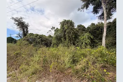 Lot 55 Palmetto Circle, Paisley, FL 32767 - Photo 5