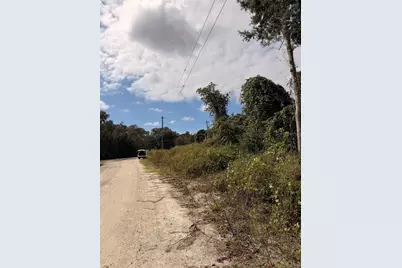 Lot 55 Palmetto Circle, Paisley, FL 32767 - Photo 9