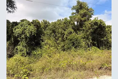 Lot 55 Palmetto Circle, Paisley, FL 32767 - Photo 11