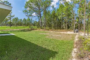 12483 Downy Woodpecker Rd, Weeki Wachee, FL 34614 - Photo 35