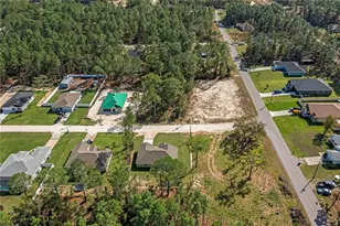 12483 Downy Woodpecker Rd, Weeki Wachee, FL 34614 - Photo 41