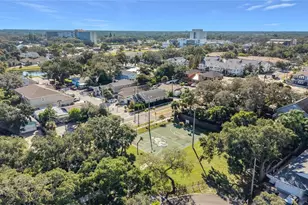 501 Frances St, Dunedin, FL 34698 - Photo 69