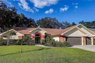 3929 Buckingham Loop Dr, Valrico, FL 33594 - Photo 1