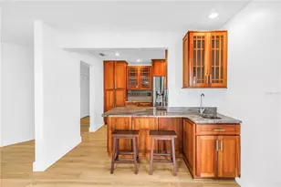 290 Monte Cristo Blvd, Tierra Verde, FL 33715 - Photo 9