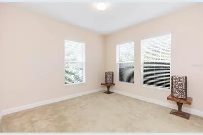 320 Ibisview Lane, Apollo Beach, FL 33572 - Photo 31