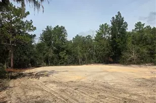 16147 Sheldrake Loop, Weeki Wachee, FL 34614 - Photo 1