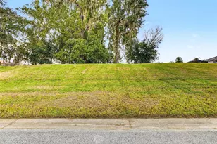 13620 Carnoustie Cir, Dade City, FL 33525 - Photo 1