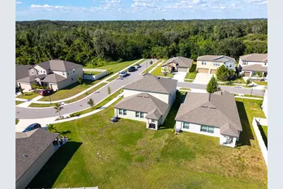 5009 Fiddle Fig Avenue, Wimauma, FL 33598 - Photo 49