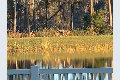 19472 Long Lake Ranch Boulevard, Lutz, FL 33558 - Photo 35
