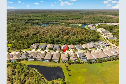 4264 Epic Cove, Land O Lakes, FL 34638 - Photo 77