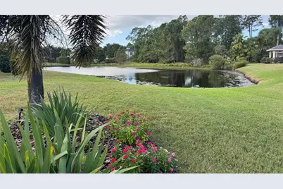 3730 Jacmel Way, Palm Harbor, FL 34685 - Photo 69