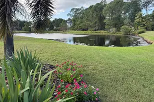 3730 Jacmel Way, Palm Harbor, FL 34685 - Photo 69