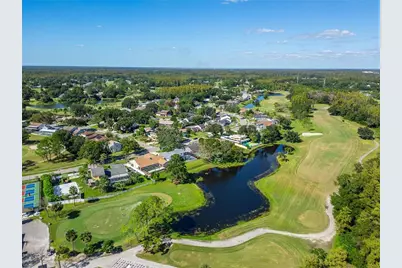 16216 Rambling Vine Drive W, Tampa, FL 33624 - Photo 51