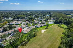 16216 Rambling Vine Dr W, Tampa, FL 33624 - Photo 43