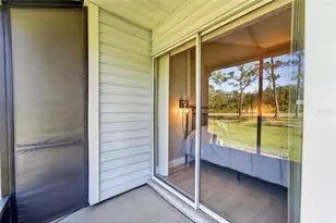 16216 Rambling Vine Dr W, Tampa, FL 33624 - Photo 31