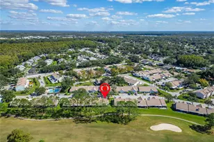 16216 Rambling Vine Dr W, Tampa, FL 33624 - Photo 45