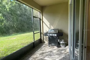 5806 Grand Sonata Ave, Lutz, FL 33558 - Photo 25