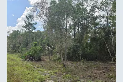 1012 Kodiak Avenue, Lehigh Acres, FL 33974 - Photo 3