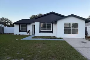 6807 White Cliffs Way, Tampa, FL 33625 - Photo 1