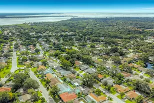 3120 Swan Ln, Safety Harbor, FL 34695 - Photo 49
